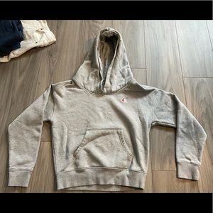 Grey Champion sweater